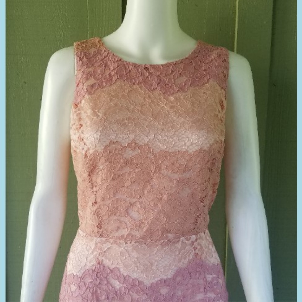 TAHARI Pink Ombre Striped Lace Sheath Dress 4 - Picture 2 of 4